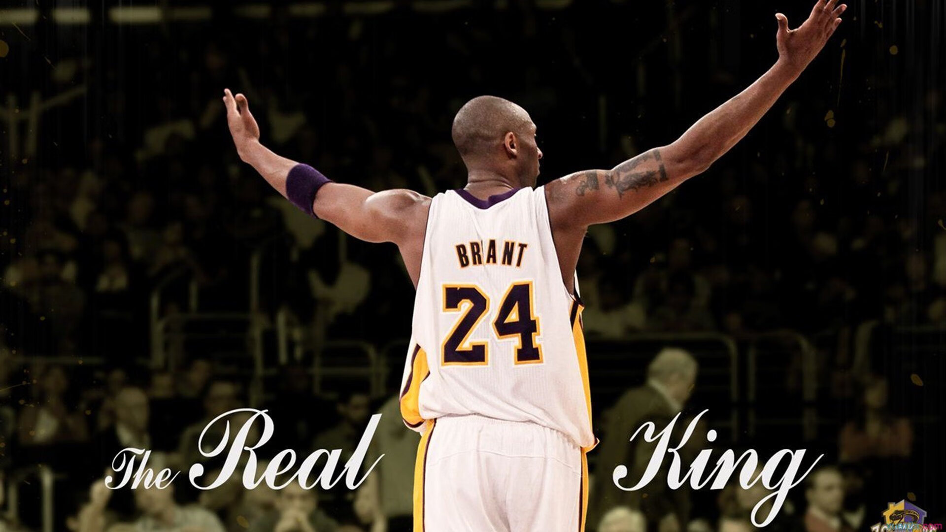 开云官网-深圳奇迹，米切尔单骑扛旗，中国篮球新篇章的震撼注脚